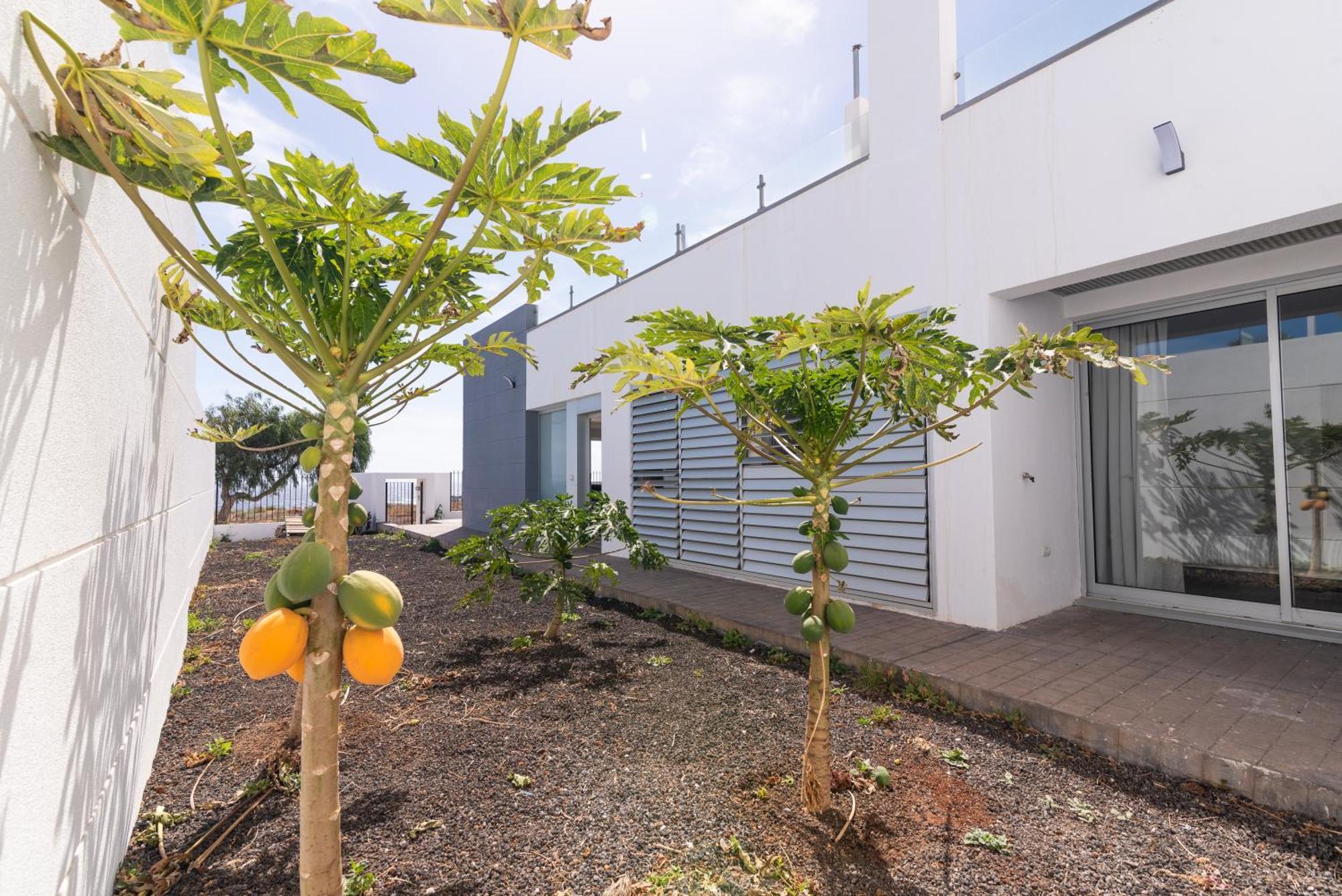 House Near The Beach W Sea View Arico Buitenkant foto